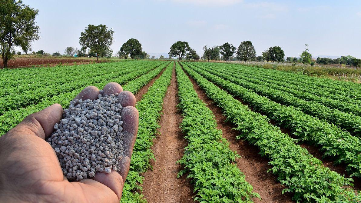 Brasil começa a normalizar a entrega de fertilizantes