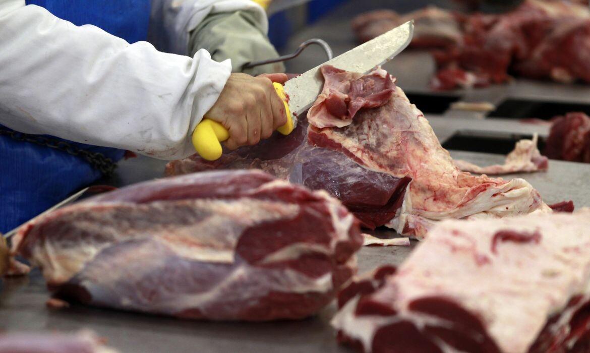 Carne bovina: exportações podem atingir novo recorde mensal