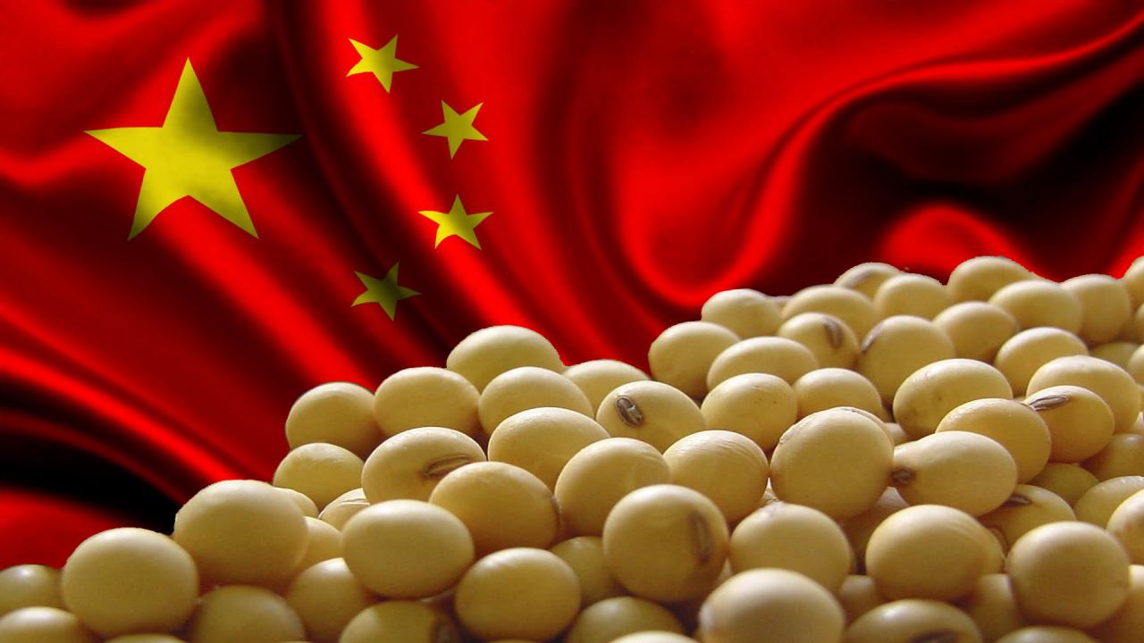 China compra 25 barcos de soja na semana e confirma ritmo melhor das compras do país, relata Agrinvest
