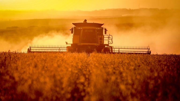 Custos de produção para safra 2022/2023 aumentam 26,6%
