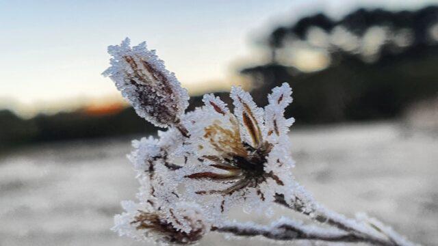 Frio, geada e chuva; confira a previsão do tempo para amanhã