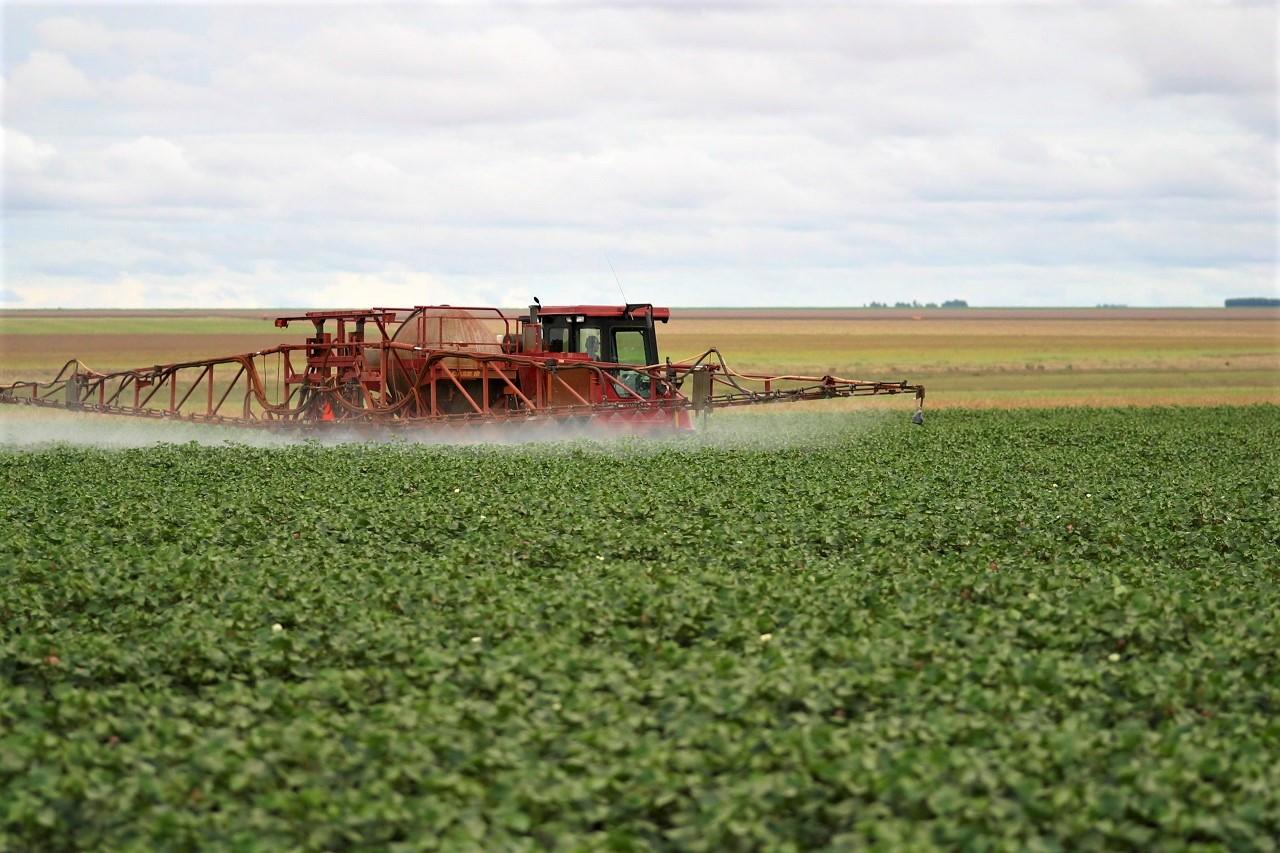 Carbendazim: FPA quer anular suspensão do uso do fungicida no Brasil