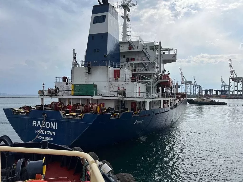 Navio de grãos zarpa de porto de Odessa, diz ministro ucraniano