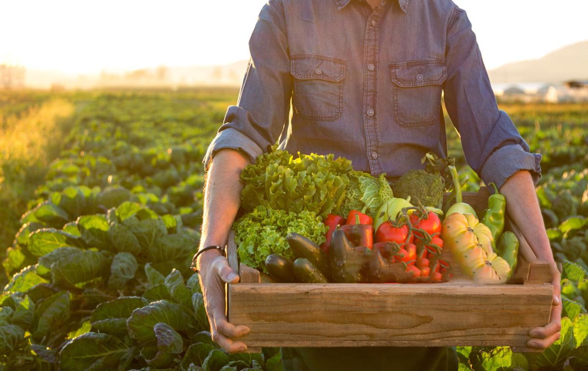 O mundo precisa do Brasil para ter alimentos, diz ministro da Agricultura