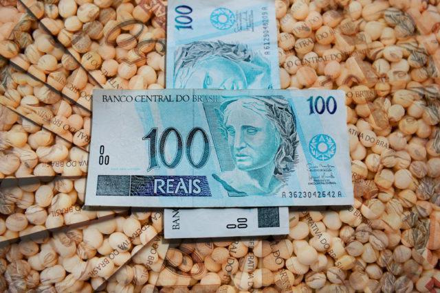 Segue para a Câmara projeto que perdoa dívidas de produtores rurais com o Ibama