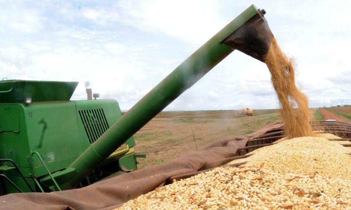 Soja/Cepea: Indicadores voltam a subir