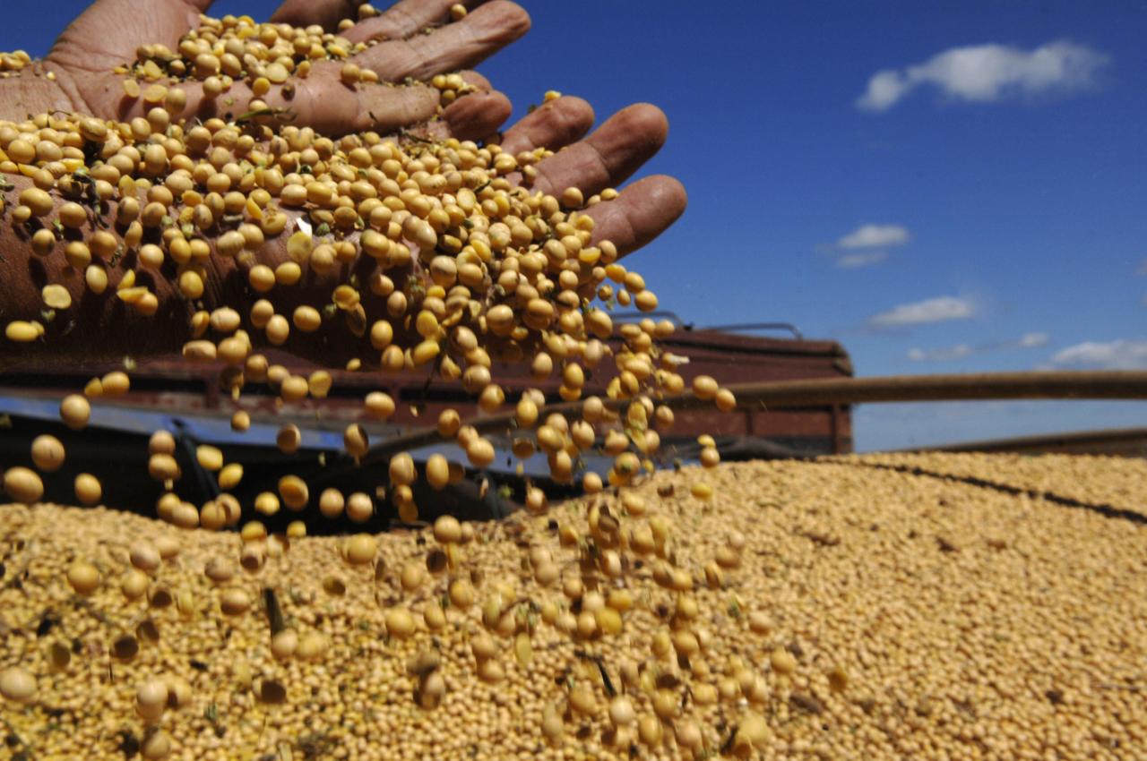 Soja: Mercado em Chicago dá sequências às baixas nesta 4ª com foco na safra americana