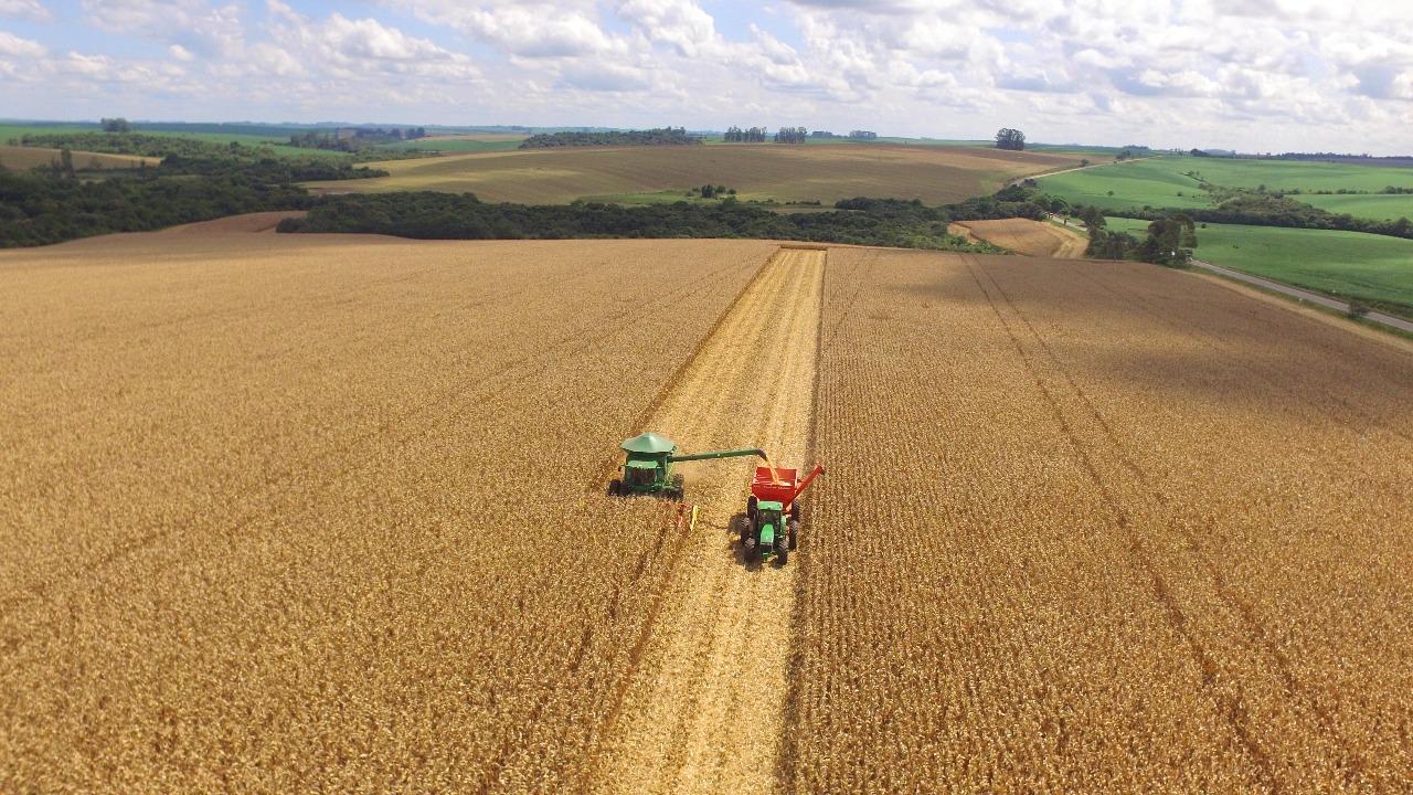 AgRural: Colheita da safrinha 2022 chega a 98% da área no Centro-Sul