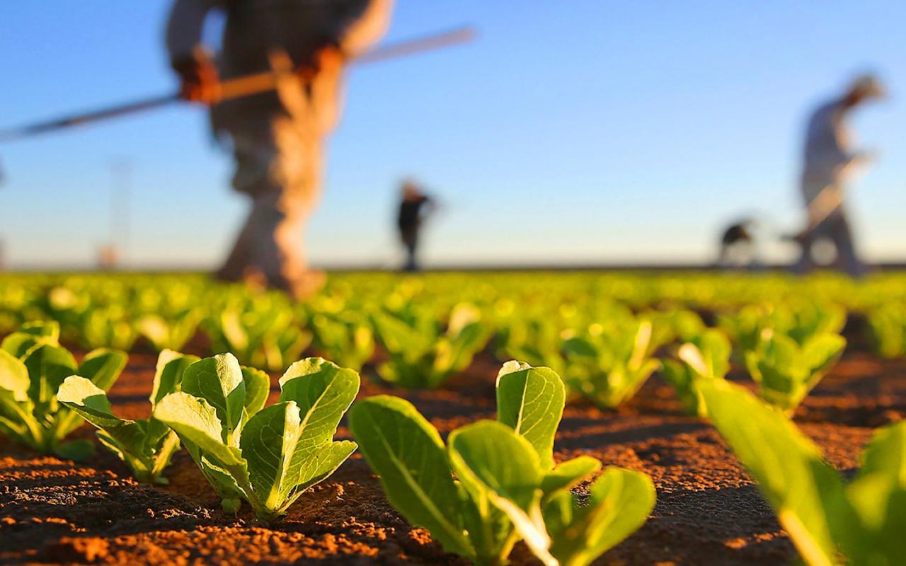Asplan lembra que encerra no próximo dia 30 de Setembro prazo para envio da DITR/2022