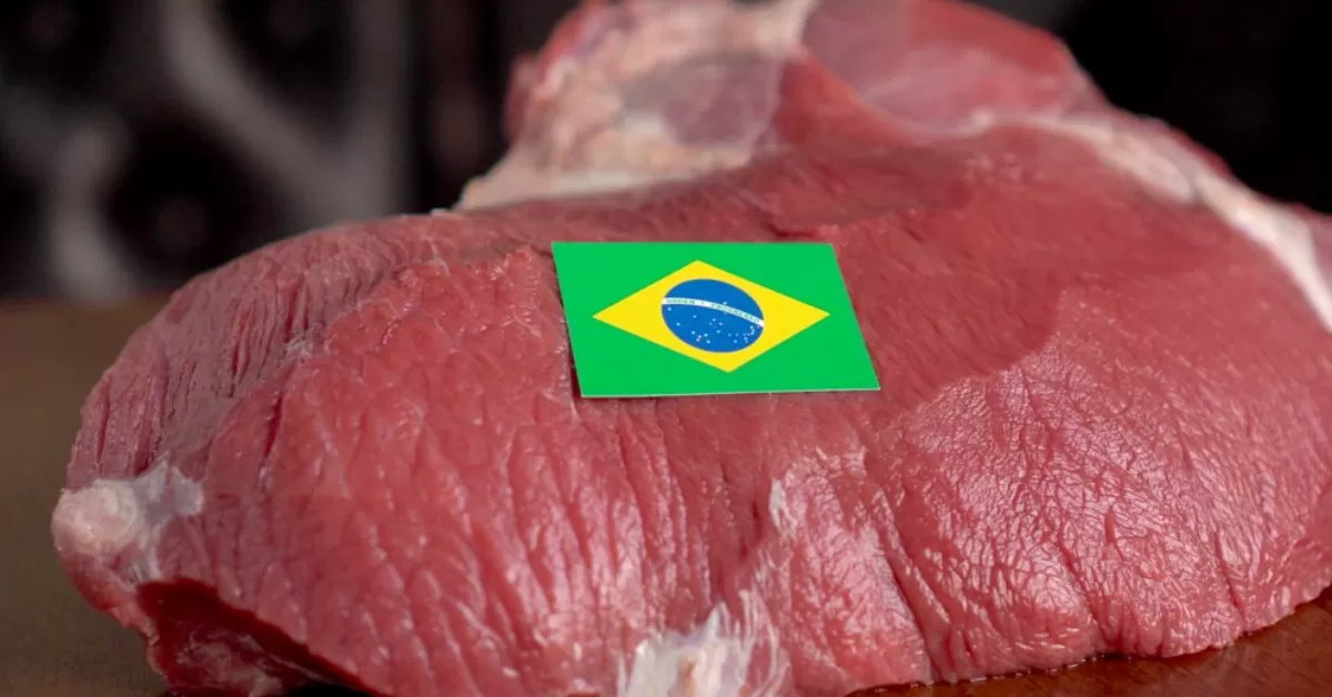 Carne bovina: exportações mantêm ritmo acelerado em setembro