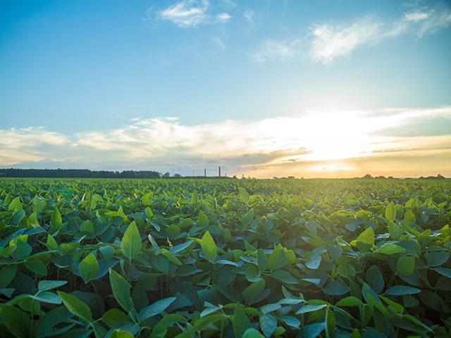 Clima pauta encontro de ministros da Agricultura das Américas