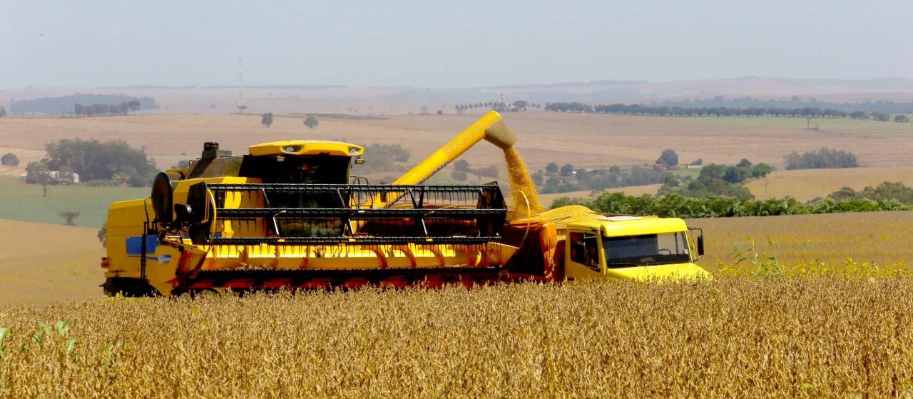 CNA apresenta perspectivas climáticas e de mercado para 1ª Safra 2022/2023