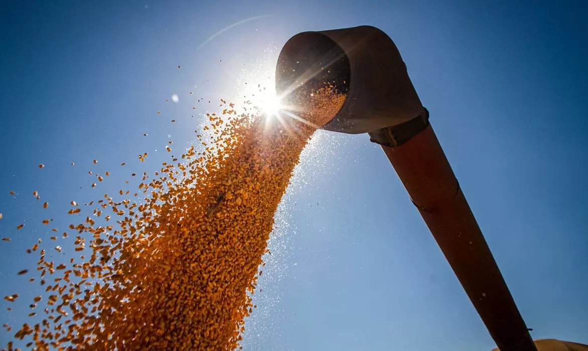 CNA divulga documento com principais perspectivas agrícolas para China até 2031