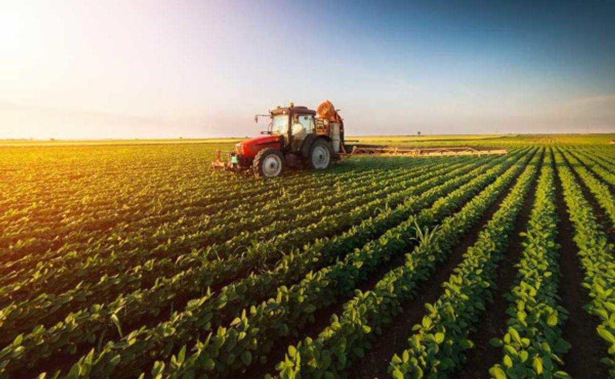 CNA levanta custos de produção em 11 estados
