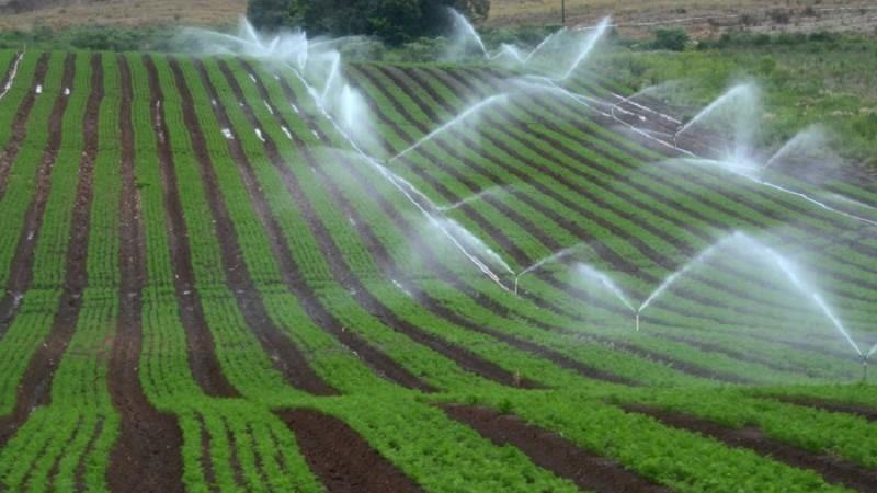 Cuidados e uso eficiente da fertirrigação para aumento de rentabilidade na lavoura