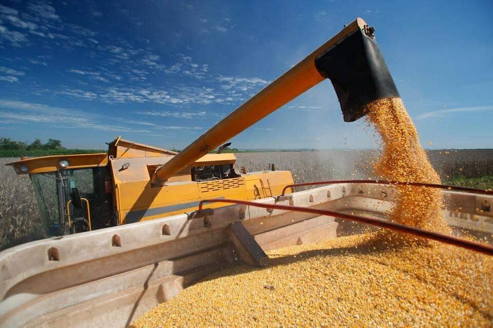 Exportação de grãos movimenta U$$ 217 milhões em MS