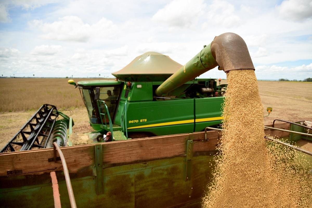 Soja perde mais de 1% em Chicago nesta 6ª feira em dia de baixas generalizadas nas commodities