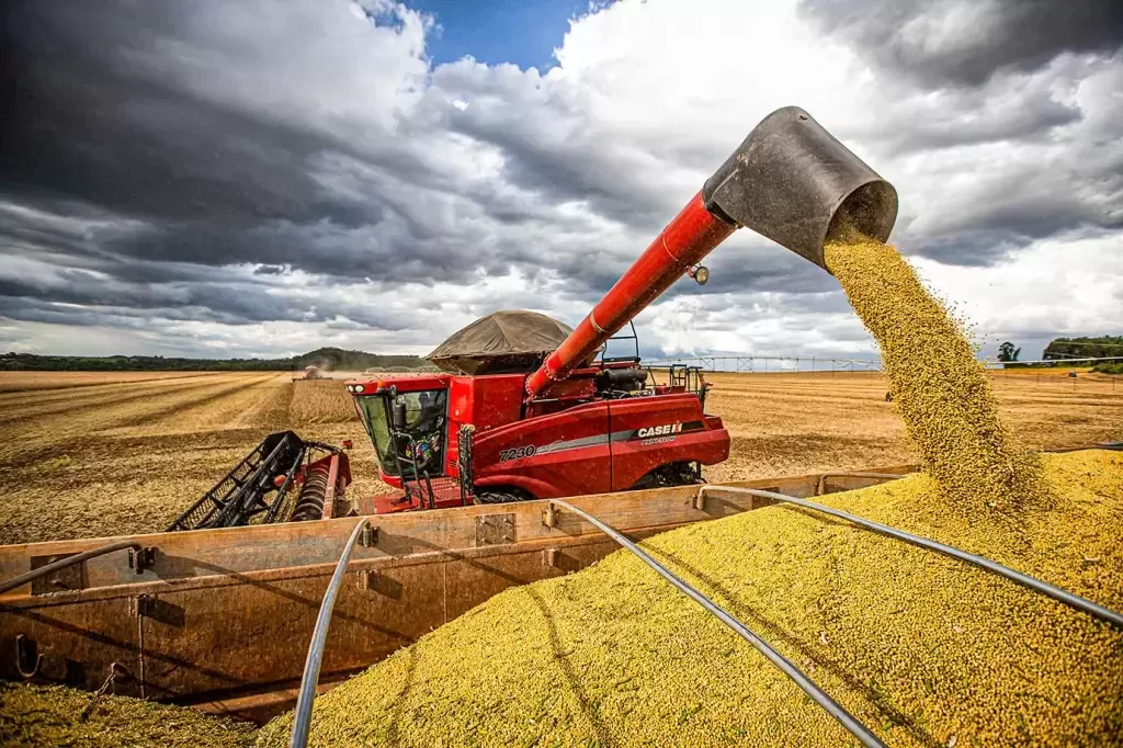 Soja tem novo dia de baixas intensas em Chicago combinando pressão da oferta e do financeiro