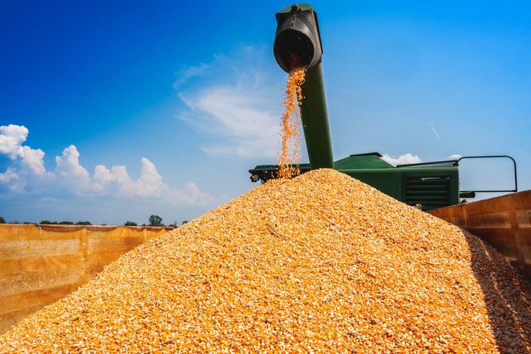 Alta na produção de milho sustenta crescimento do mercado de etanol