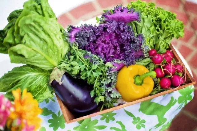 Frutas e hortaliças: queda na oferta influencia preços