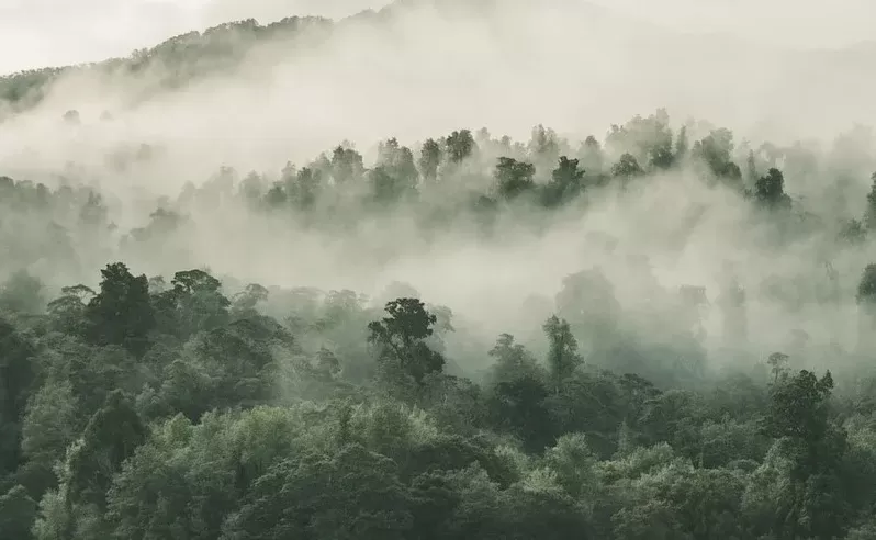 Massa de ar polar, geada e frente fria: veja a previsão do tempo para o fim de semana