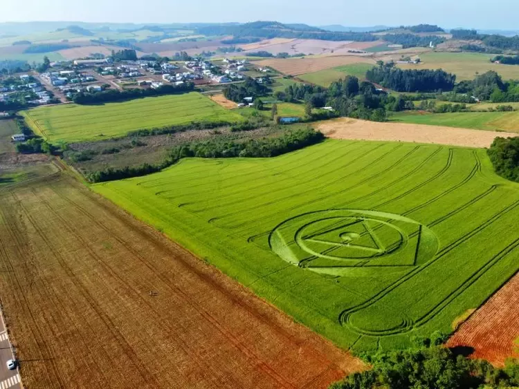 O que é agroglifo, desenho misterioso que surgiu em plantação de SC