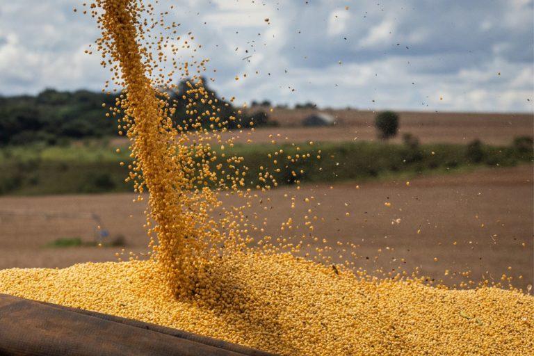 Plantio da soja vai a 10% da área no Brasil com irregularidade de chuvas em MT