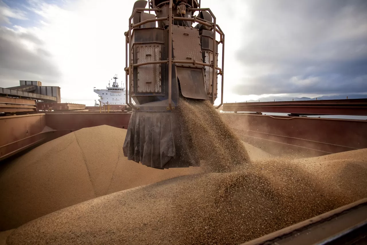 Porto de Paranaguá espera exportar 6,6 milhões de t de grãos em 3 meses