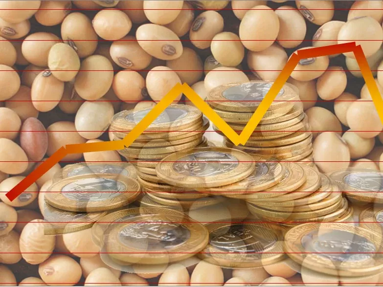 Preços da soja no Brasil ficam estáveis após Chicago e dólar inconstantes