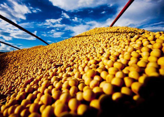 Produtor de soja: atenção aos fatos importantes desta semana