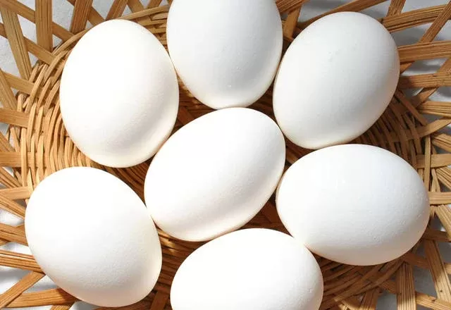 Receita de exportações de ovos cresce 12,3% em setembro