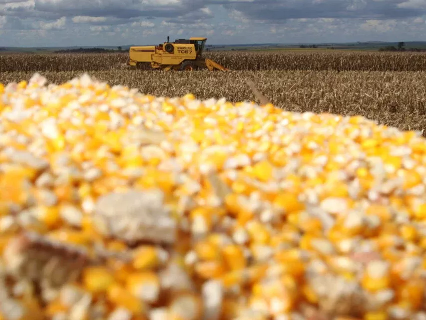 Setembro tem o melhor mês da história nas exportações de milho