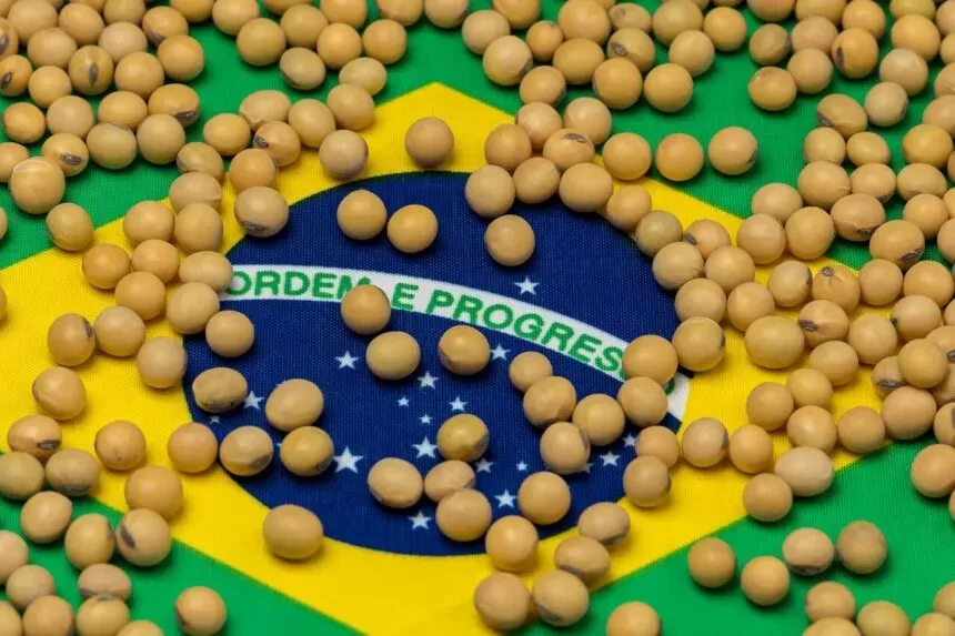 Soja/Cepea: Farelo de soja se valoriza no BR