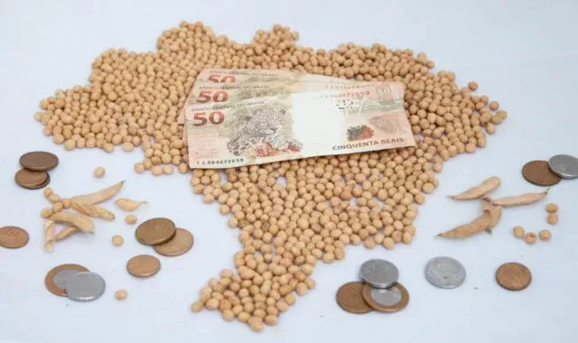 Soja: Chicago e dólar em alta impulsionam negócios no Brasil