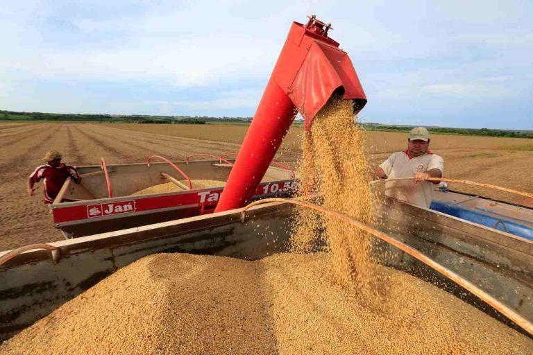 Soja inicia 5ª feira com ganhos na CBOT ainda de olho na demanda e clima na América do Sul