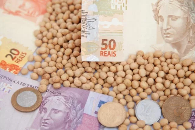 Soja: lotes pontuais são vendidos e produtor foca no plantio