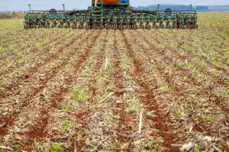 Soja: Plantio da safra brasileira 2022/23 atinge 32,4%, diz Safras