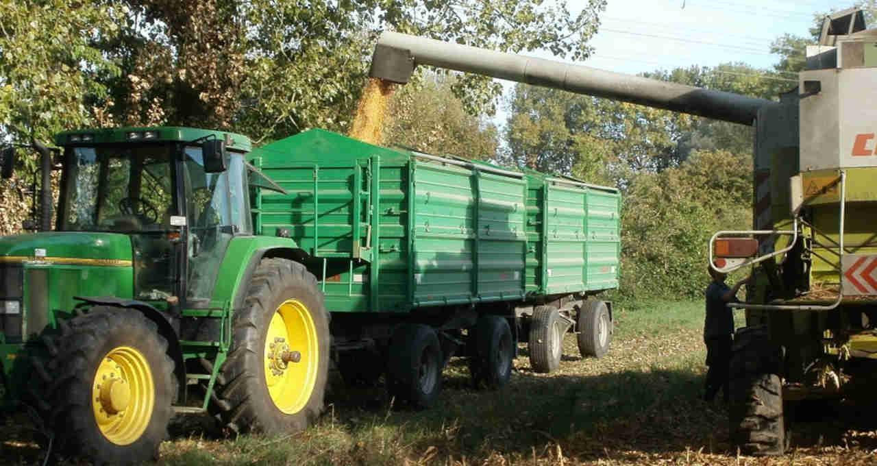 USDA: Embarques de soja, milho e trigo dos EUA recuam na comparação semanal