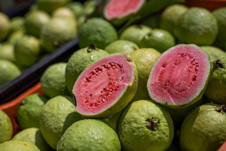 AgroBR auxilia produtores rurais a alavancarem exportações de produtos da agropecuária