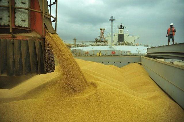 Brasil não tem negócios e preço da soja cai