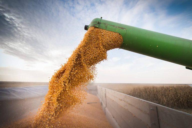 China começa a comprar milho do Brasil