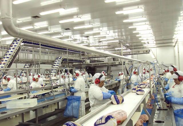 Bolsonaro sanciona lei que cria autocontrole da produção agropecuária