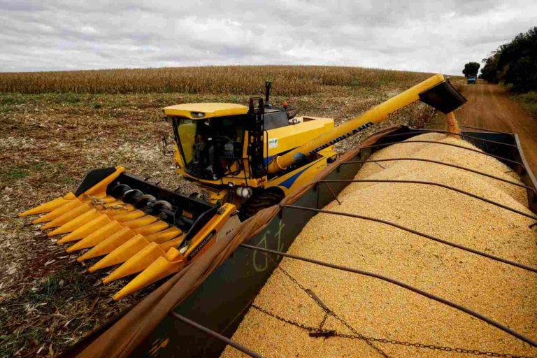 Brasil deve fechar ano com crescimento de 111% na exportação de milho