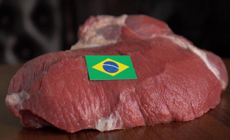 Cresce a produção de carne no Brasil