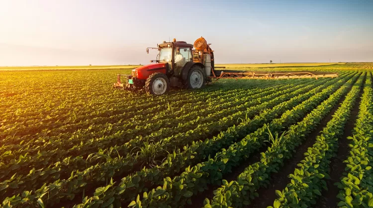 Fundos de investimentos do agronegócio caem no gosto do investidor