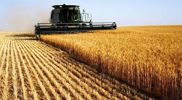 IBGE: mais da metade dos solos do Brasil tem potencial natural para a agricultura