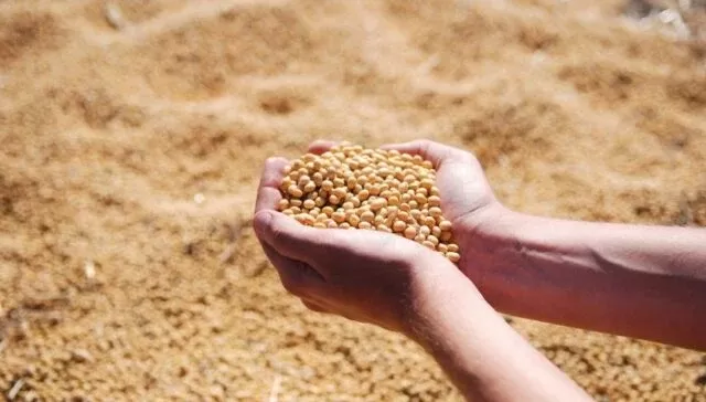 Índice de Commodities sobe em novembro