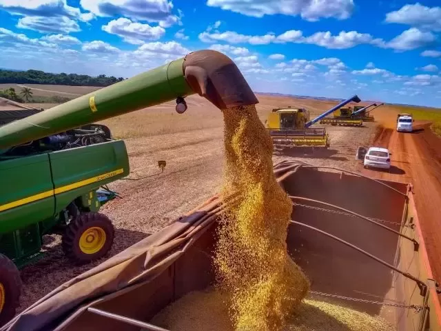 Negócios com soja são pouco significativos no Brasil