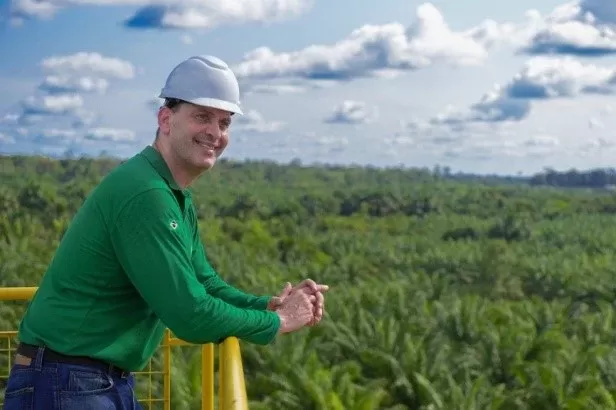 Palma de óleo: Brasil é referência global desde o cultivo sustentável até a geração de energia elétrica renovável