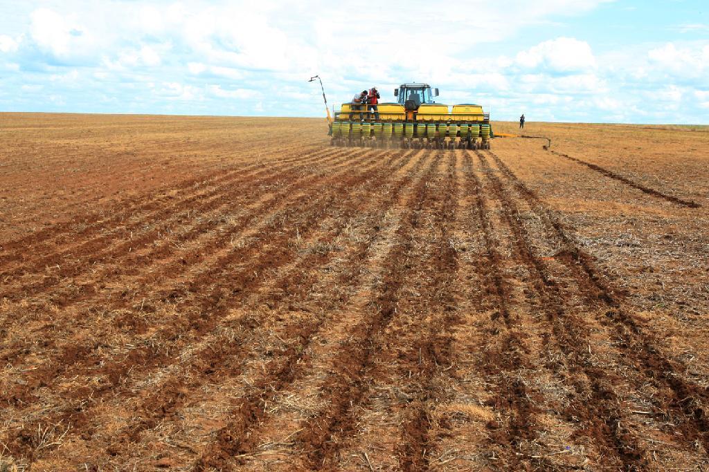 Plantio de soja alcança 91% com chuva ainda manchada em parte do país, diz AgRural